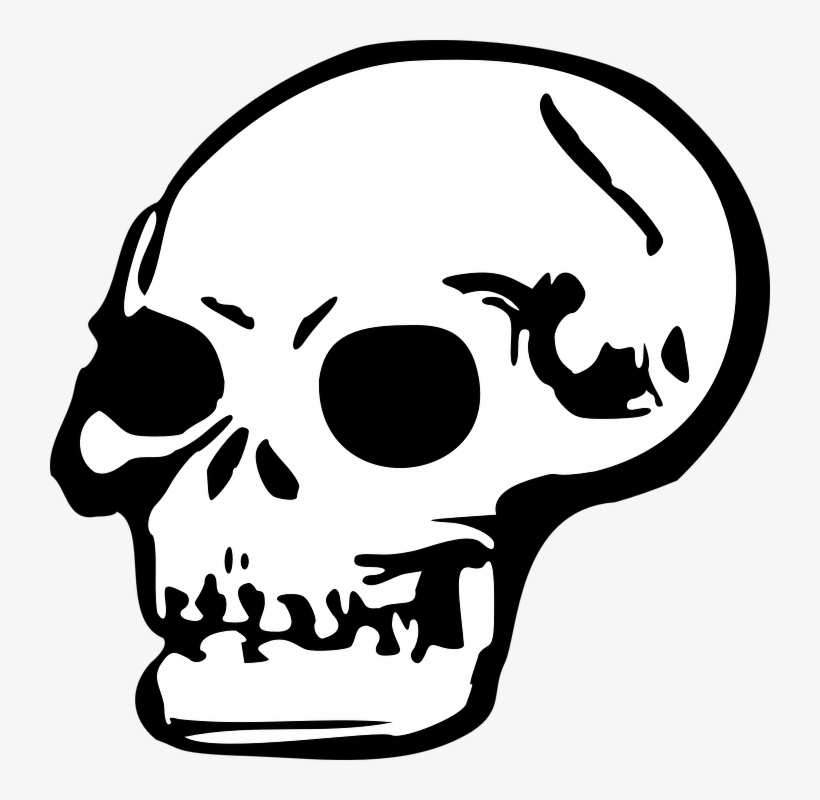 The Editing Of The Human Skull - Skull Clip Art, transparent png #251172