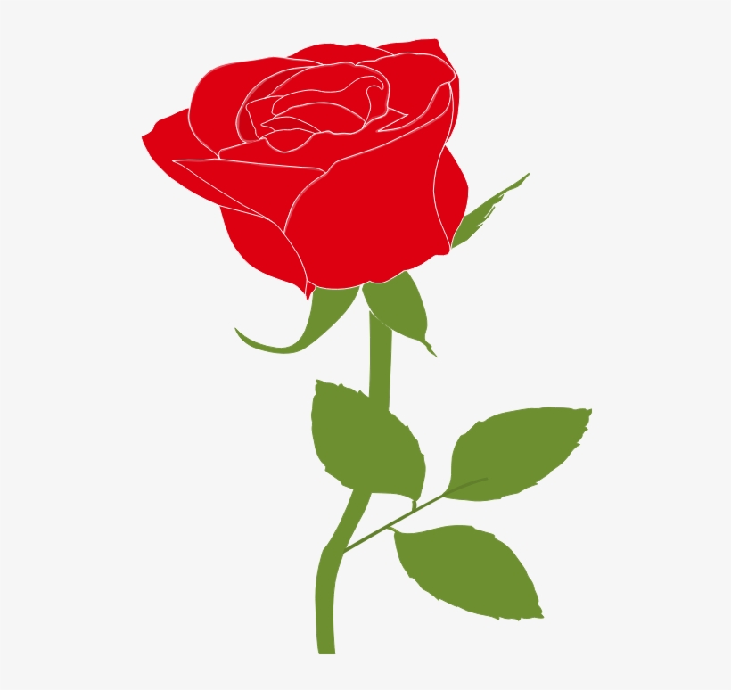 Garden Roses, transparent png #251802