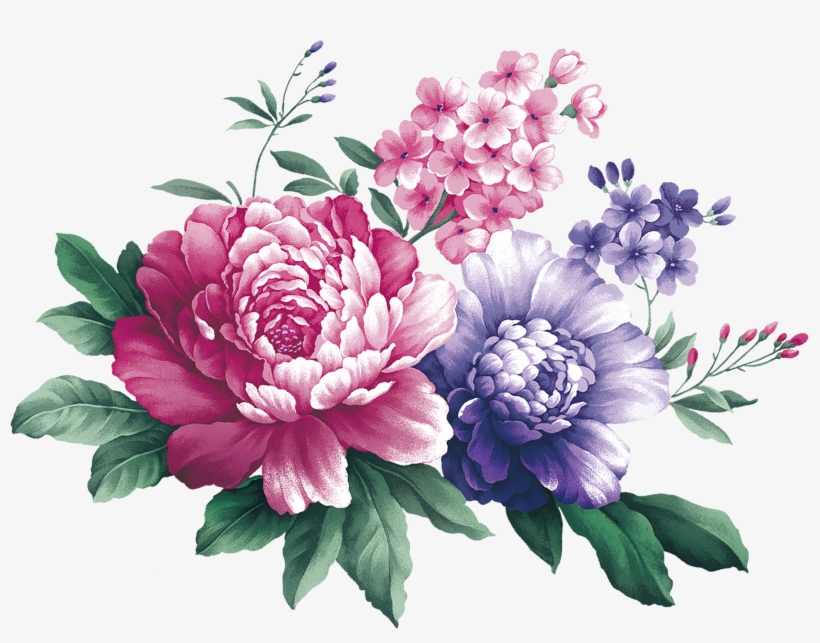Download Svg Black And White Stock Floral Design Centifolia Flower Free Transparent Png Download Pngkey