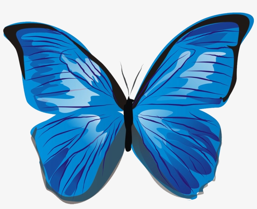 Blue Butterflies Png - Blue Butterfly Clipart Png, transparent png #252535