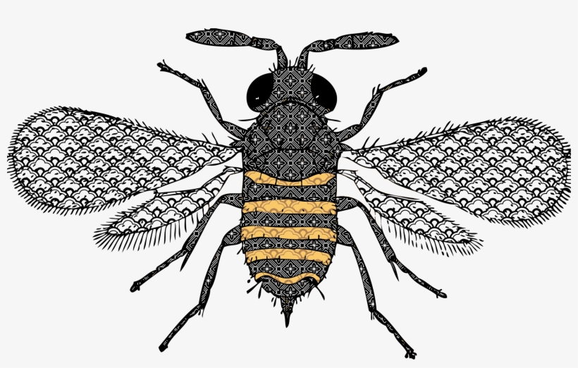 This Free Icons Png Design Of Very Detailed Bee, transparent png #252632