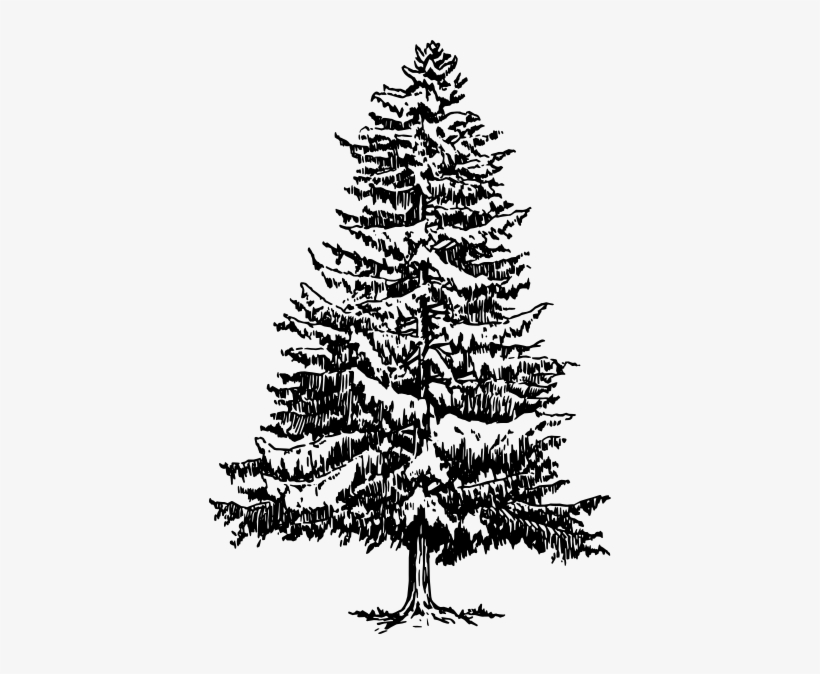 Original Png Clip Art File Pine Tree Svg Images Downloading, transparent png #252890