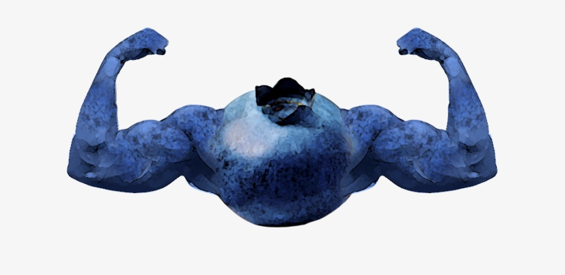 Blueberry Flexing Image - Jpeg, transparent png #253168