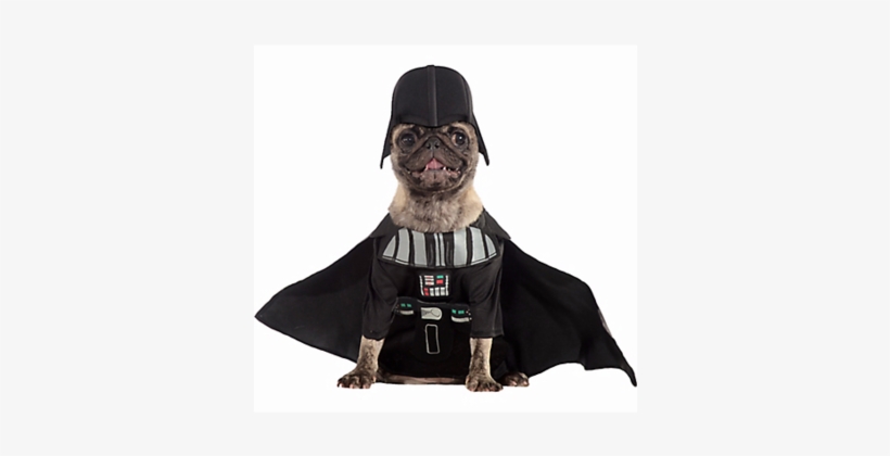 Darth Dog - Darth Vader Dog Costume, transparent png #253192