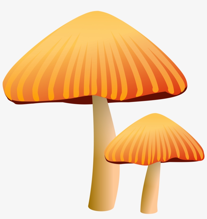 How To Set Use Orange Mushroom Clipart, transparent png #253323