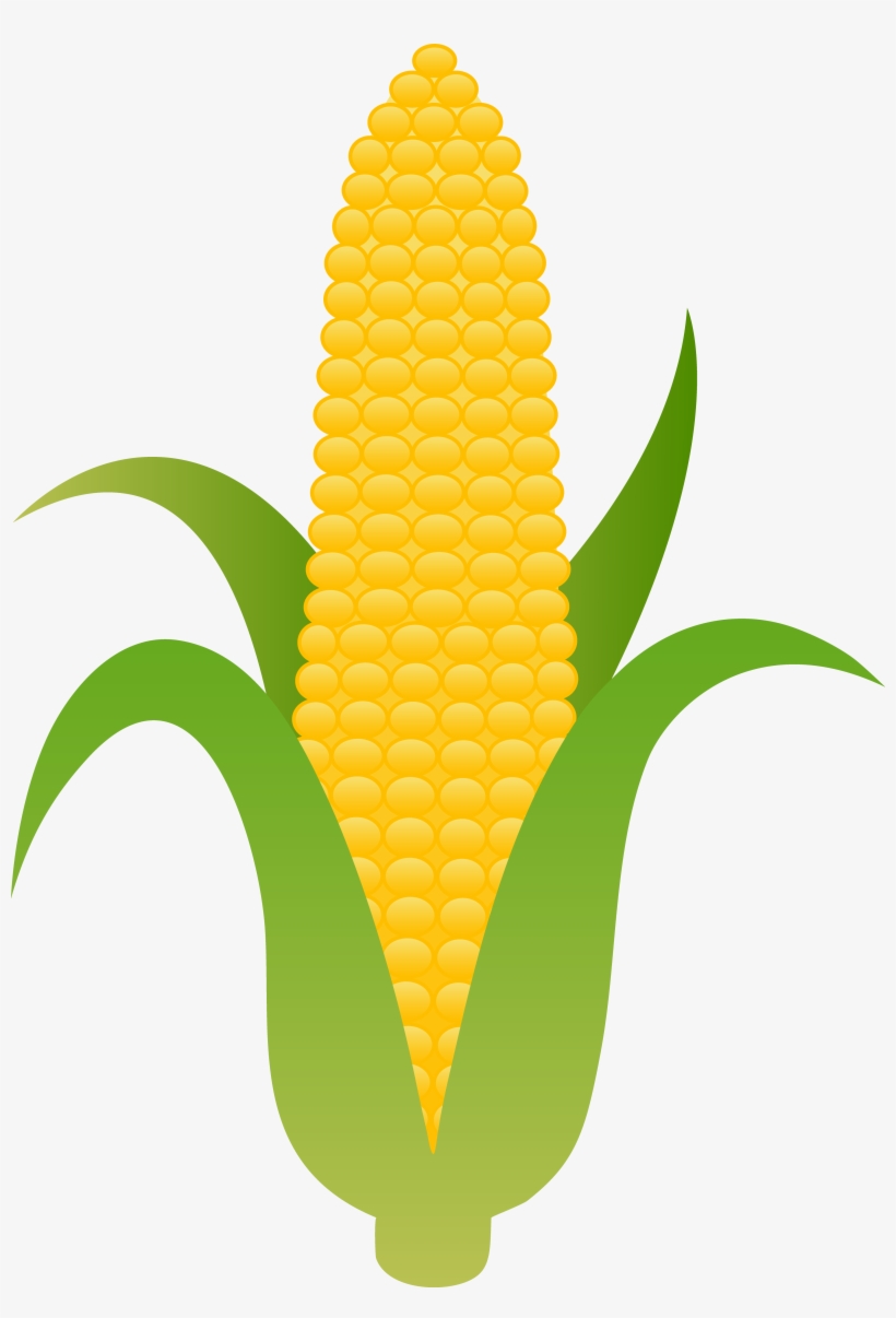 Sweet Corn Drawing At - Corn Clipart, transparent png #253862