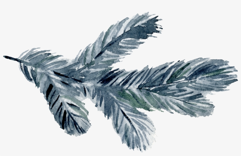 Flr, transparent png #254160