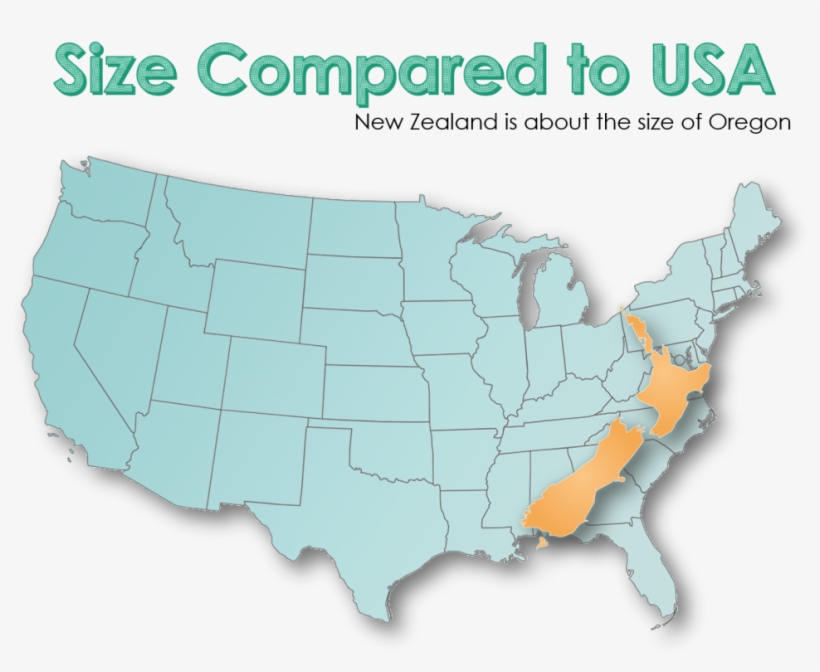 New Zealand Size Vs Usa, transparent png #254421