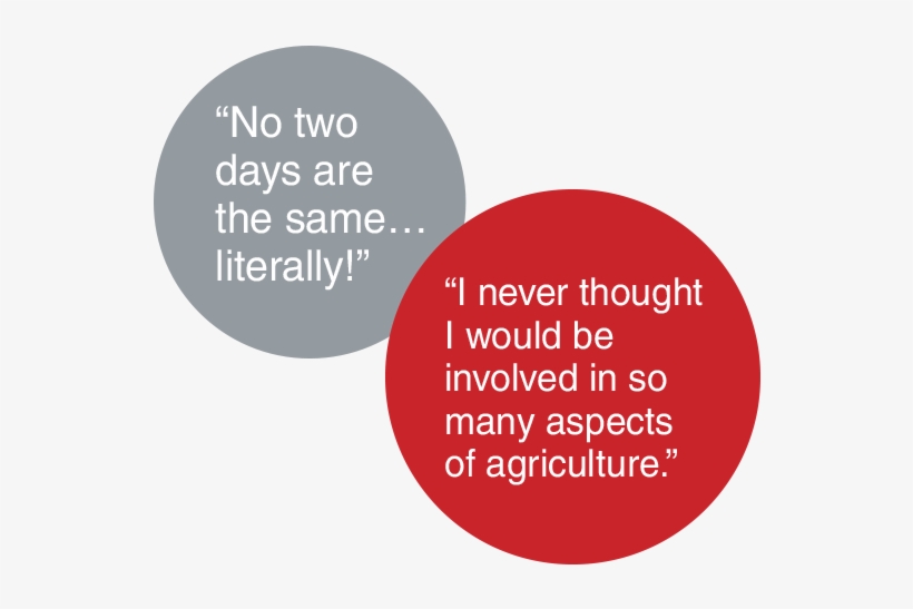 On Any Given Day, You May - Smokers Skin, transparent png #254756