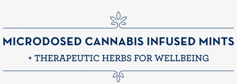 Header Home New - Bobber, transparent png #254905