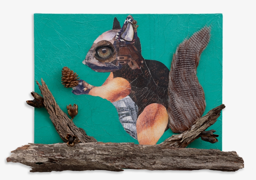 2018 - Eurasian Red Squirrel, transparent png #254971