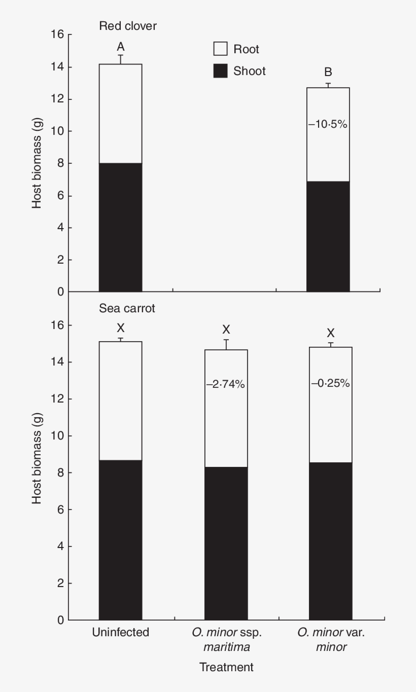 Mean Host Biomass From Pot-cultivated Red Clovers And - Pattern, transparent png #255201