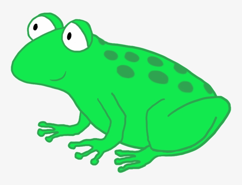 Funny Cartoon Frog Drawing, Funny And Cute Cartoon - Frog Png Cartoon, transparent png #255753