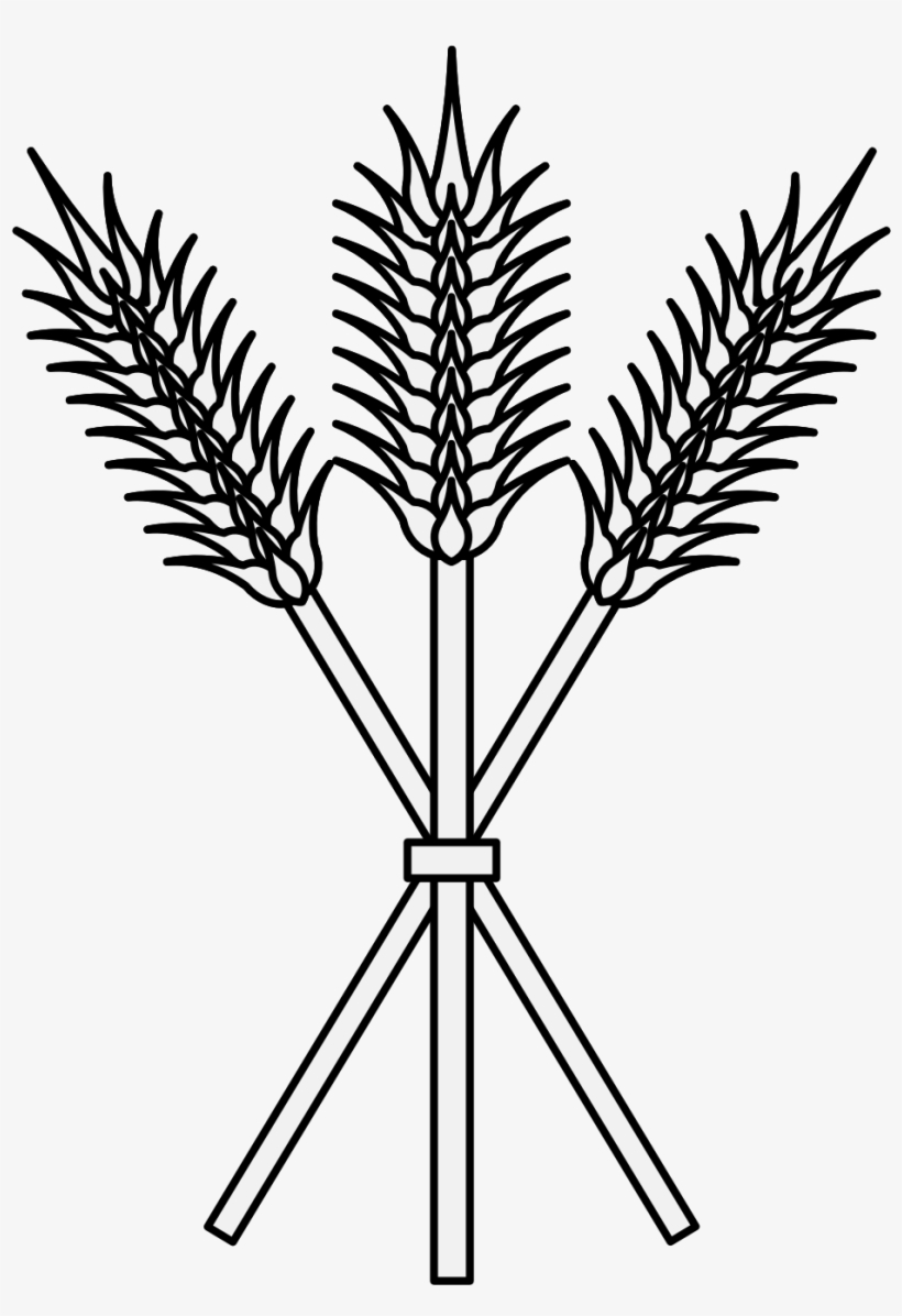 Details, Png - Drawing, transparent png #256255