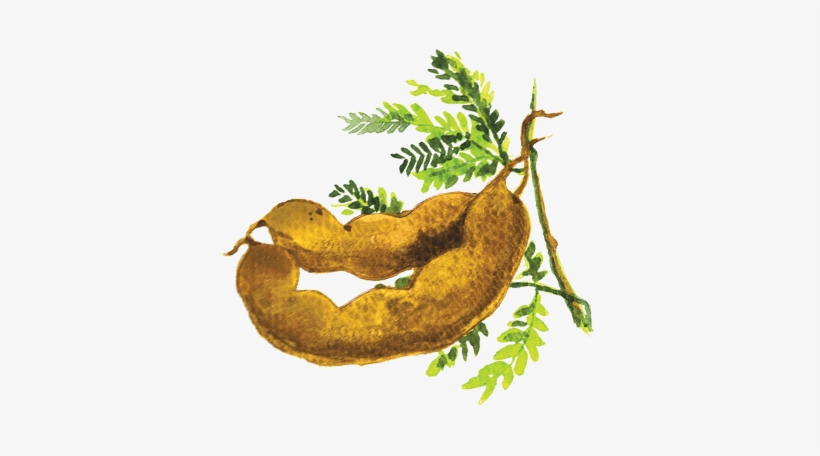 Mama Sita's Sinigang Sa Sampalok Mix - Illustration, transparent png #256438