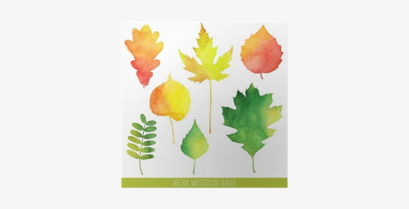 Fall Leaves Water Color, transparent png #257044