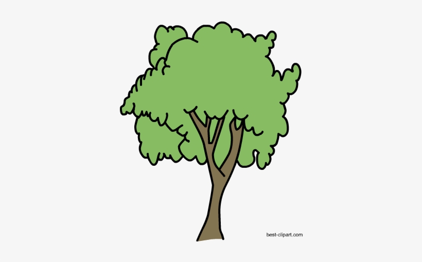 Free Big Tree Png Clipart Image - Portable Network Graphics, transparent png #257576
