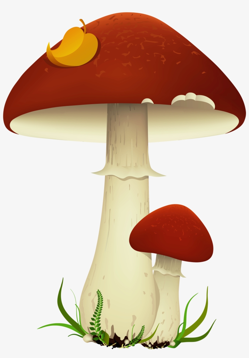 Mushroom Clipart No Background, transparent png #257947