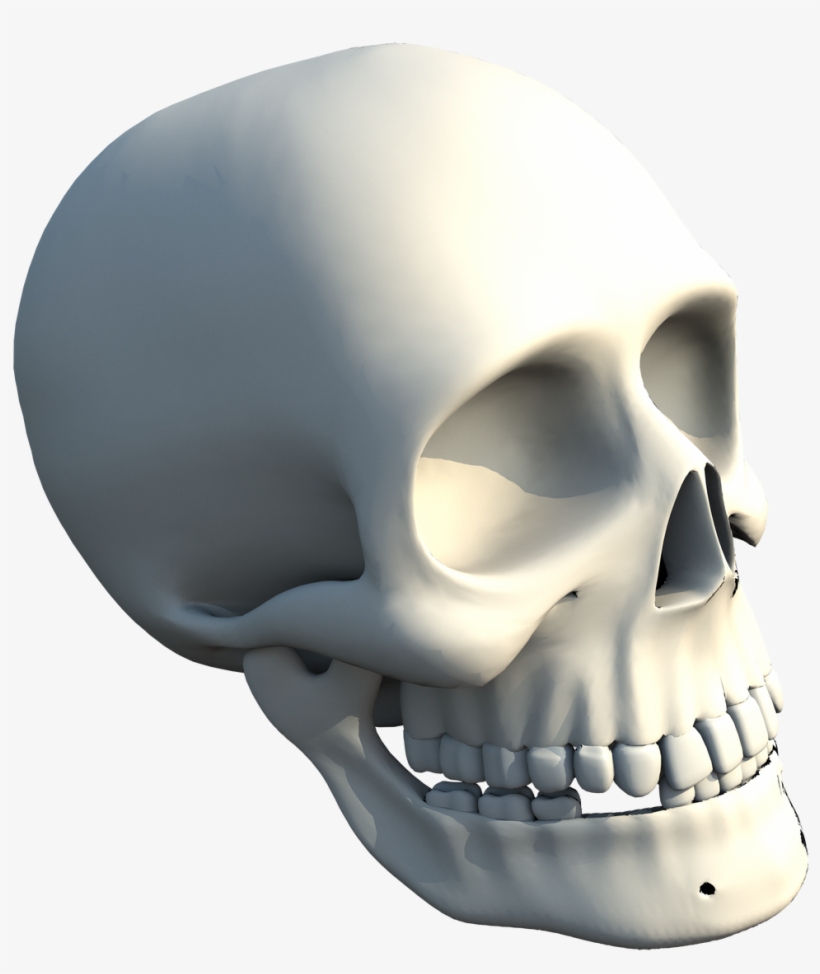 The Skull Of Human - Skull, transparent png #258170