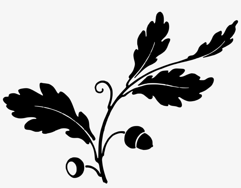Graphic Library Clipart Leaf And Acorns Big Image Png - Oak Leaf Silhouette, transparent png #258260
