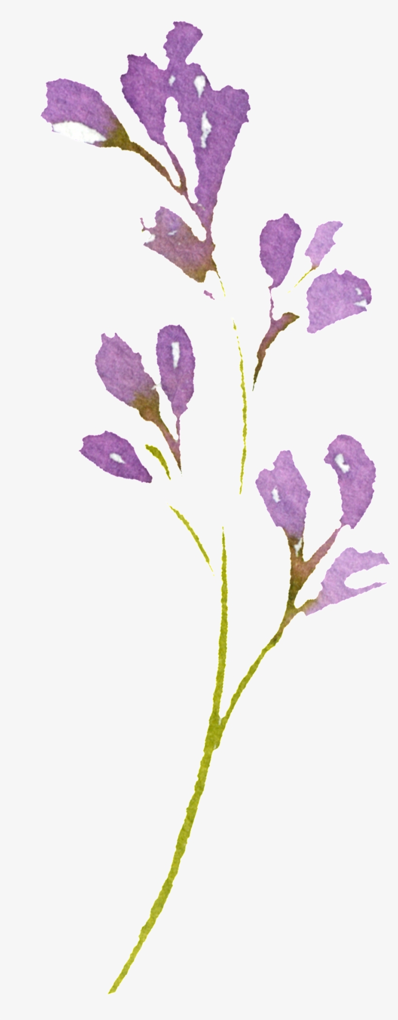 Hand Painted Romantic Purple Flower Png Transparent - Portable Network Graphics, transparent png #258430