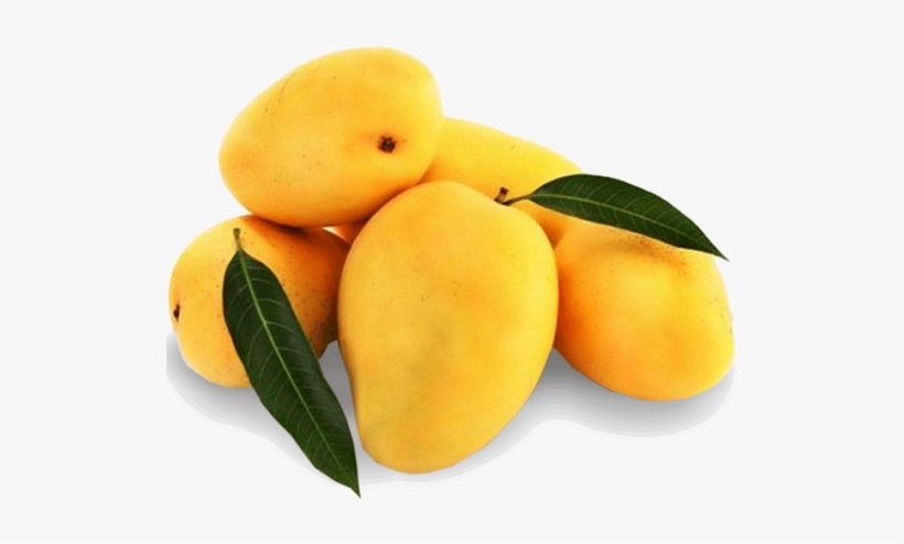 Mango Free Png Image - Fresh Mango, transparent png #258589