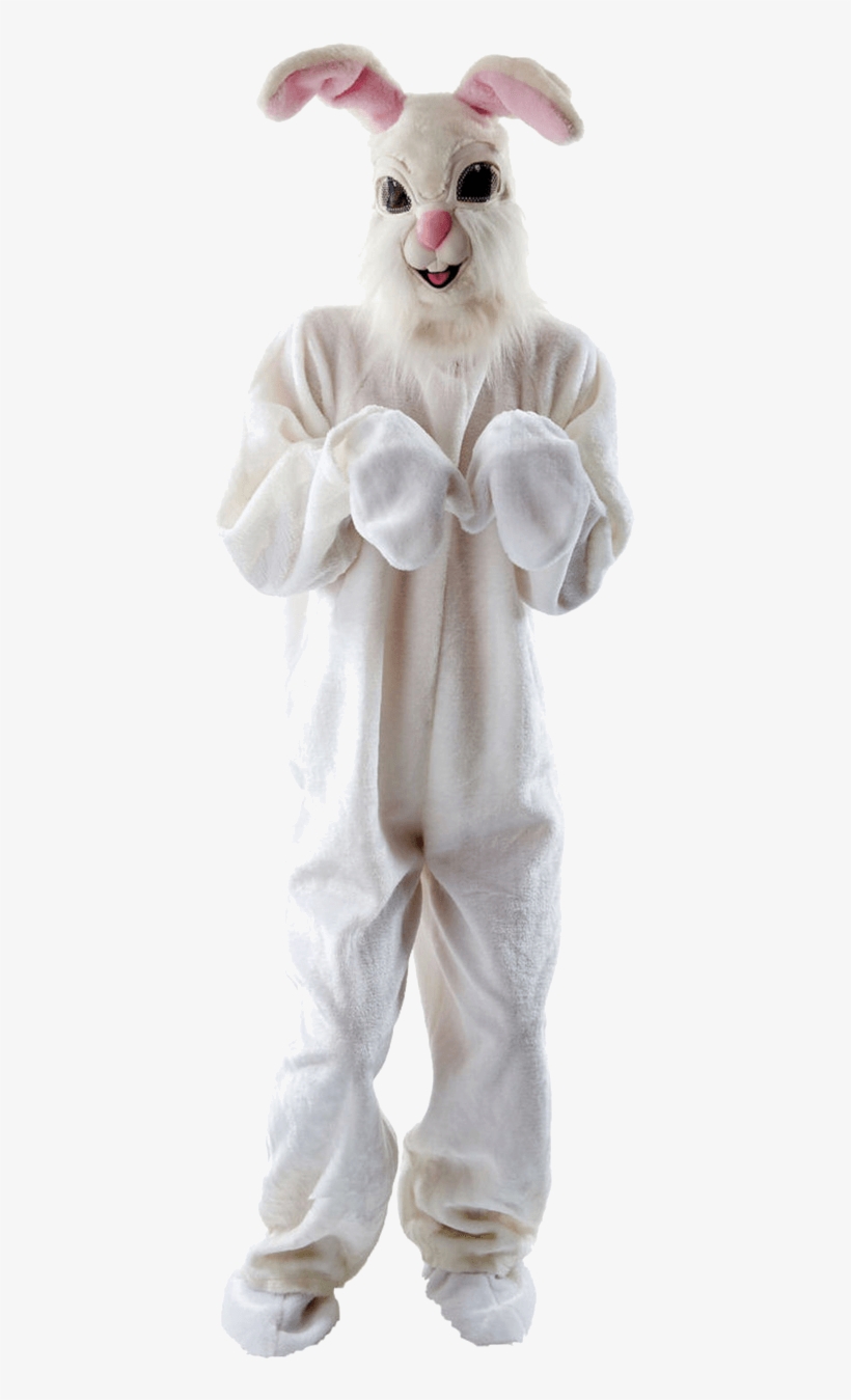 Easter Bunny Costume Png - Fluffy Easter Bunny Costume, transparent png #258608