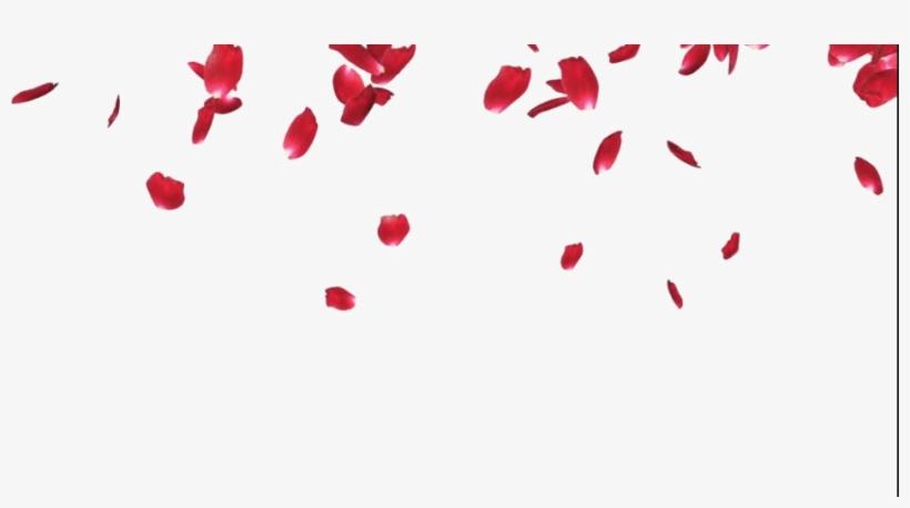 Rose Petals Png Pic - Rose Petals Png, transparent png #258896