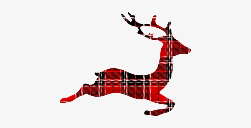 Buffalo Plaid Reindeer, Deer, Lumberjack - Deer, transparent png #259069