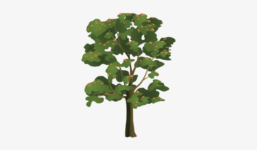 Ian Symbol Spathodea Campanulata - Tulip Tree Clip Art, transparent png #259090