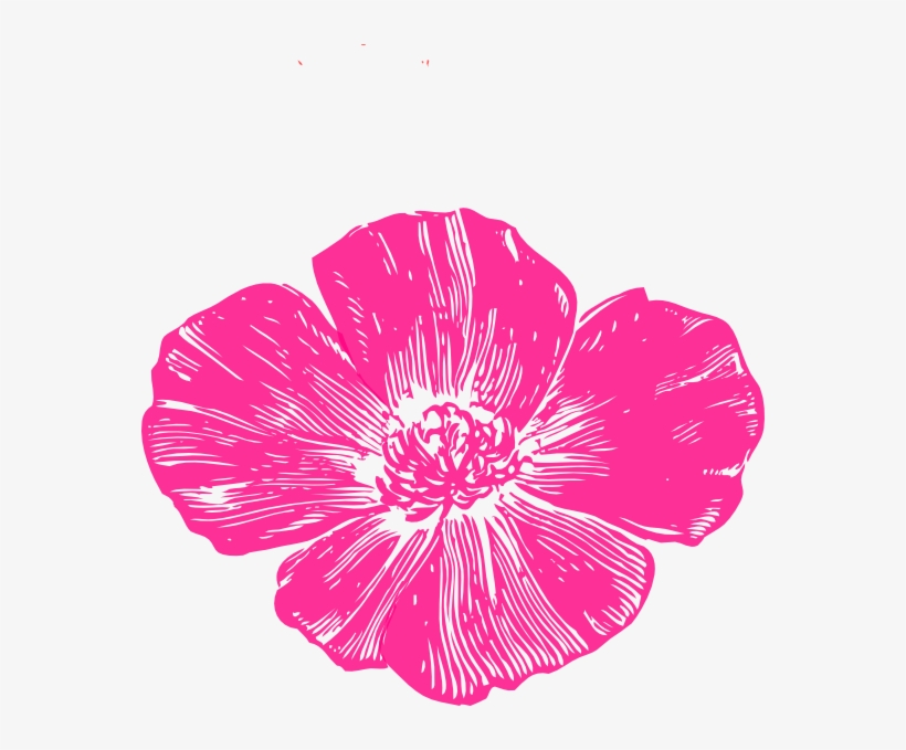 Hot Pink Poppy Clip Art At Clker - Pink Poppy Flower Clip Art, transparent png #259091