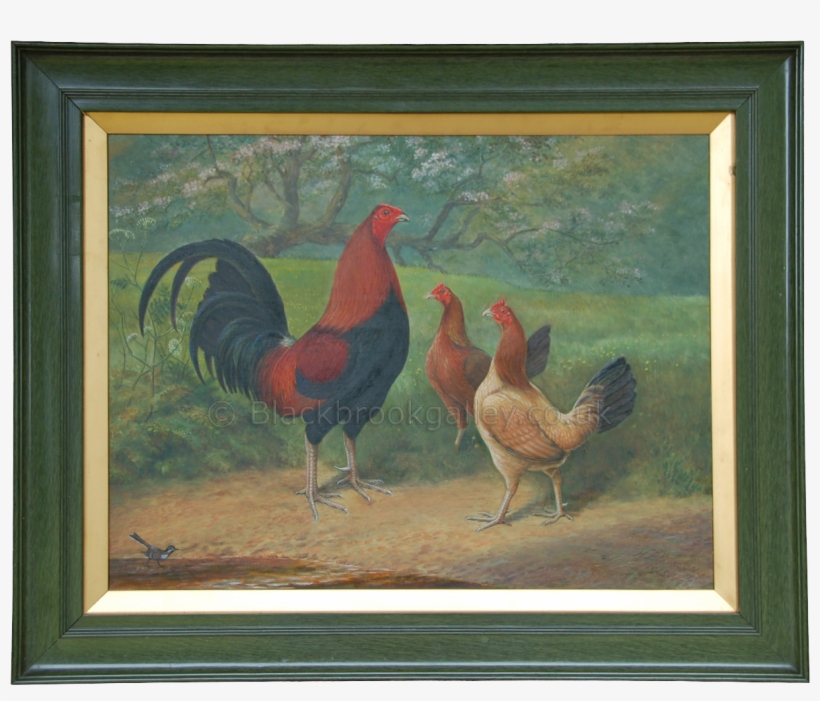 More Views - Rooster, transparent png #259269