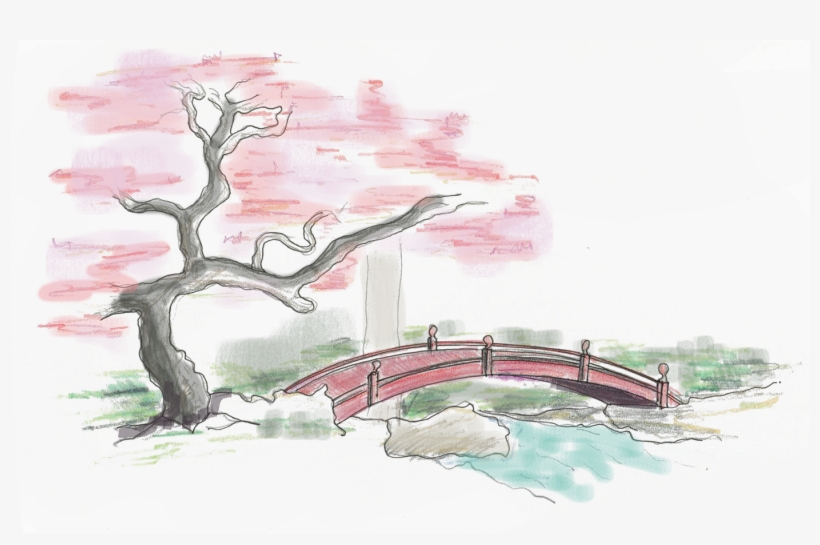 Japanese Maple Bridge Crossing On Meditation Walk - Tree, transparent png #259293