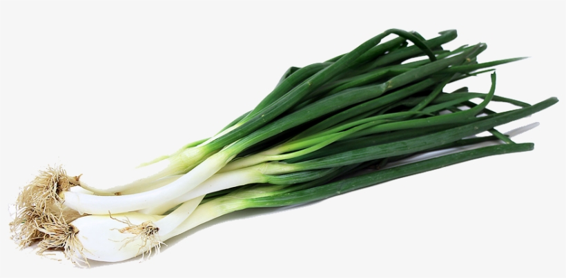 Green Onion Png Image - Green Onion Png, transparent png #259622