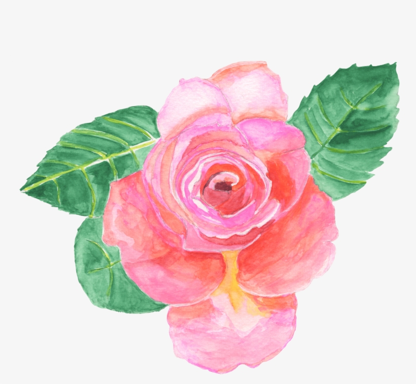 Floribunda, transparent png #259925