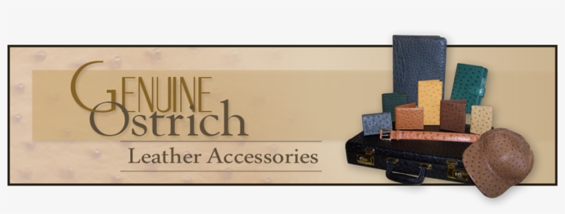 Mens & Womens Ostrich Leather Accessories - Ostrich Wallet Mens, transparent png #2500041