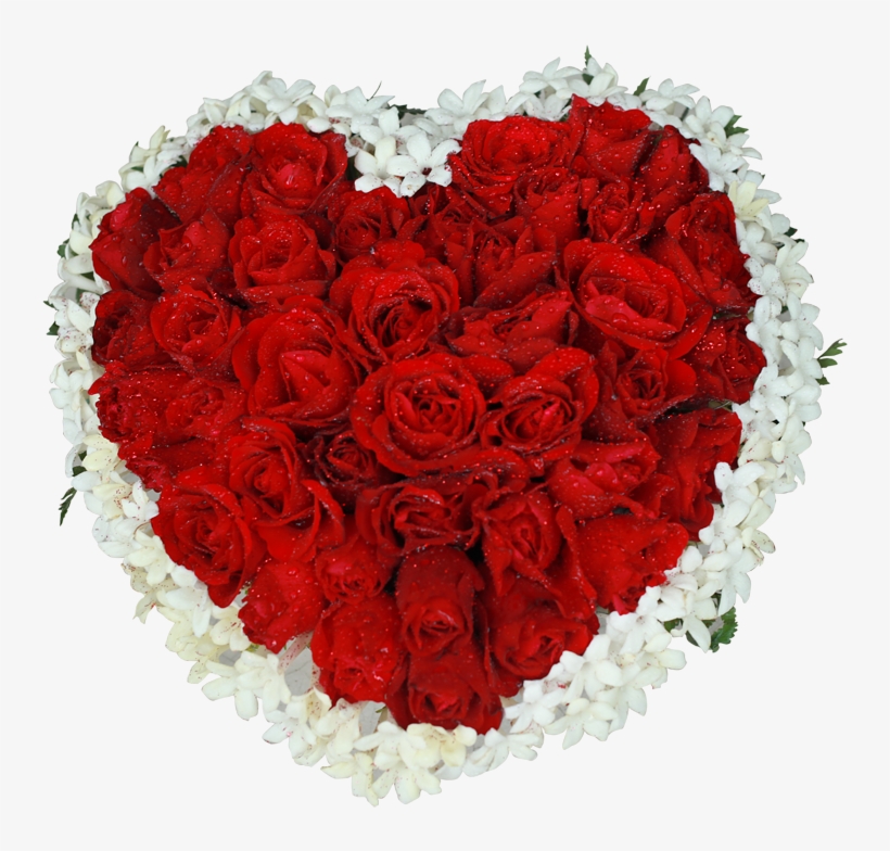 Heart Shape With 80 Red Roses - Floribunda, transparent png #2500547