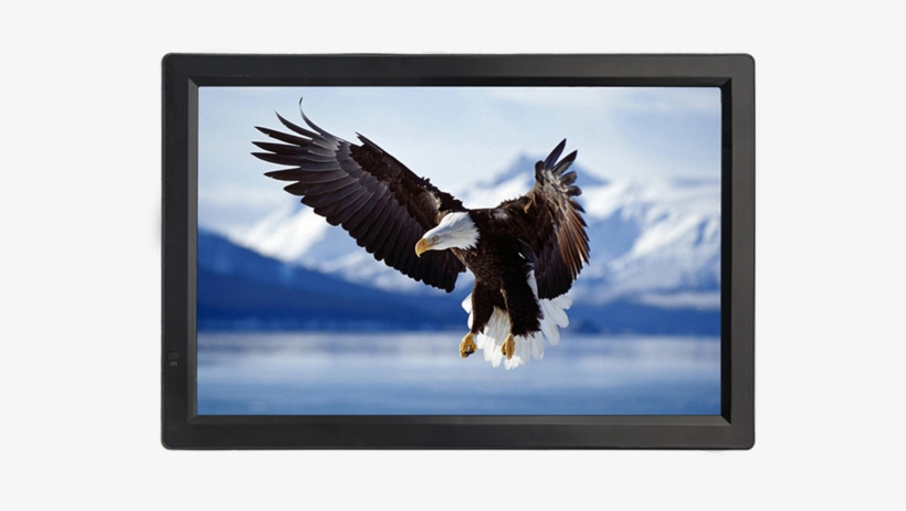 Special Custom Led Tv For Restaurant - 5d Diy Diamond Painting Animal Kits Diamond Rhinestones, transparent png #2501465