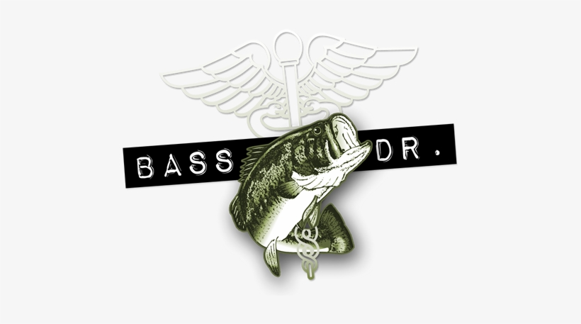 Schedule - Doctor Bass, transparent png #2501489