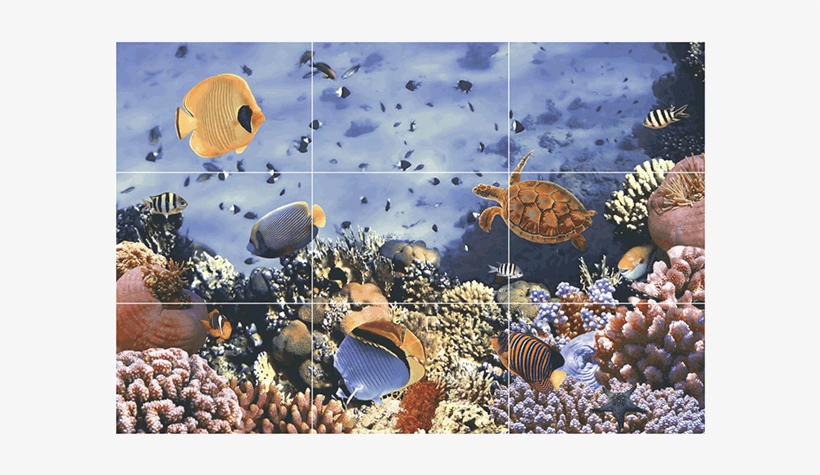 Under Water - St. Thomas, U.s. Virgin Islands - Underwater Coral, transparent png #2502340