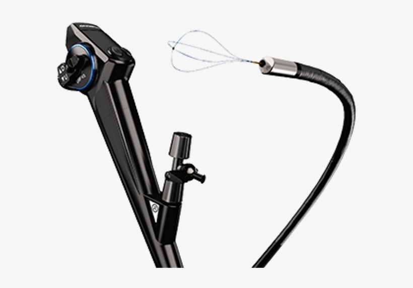 Related Products - Bicycle Frame, transparent png #2502910