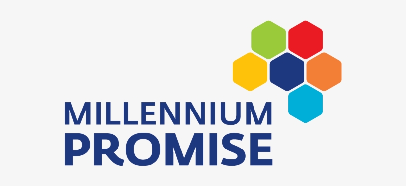 Millennium Alliance Conducts Round 3 Awardee Pitching - Millennium Promise, transparent png #2503464