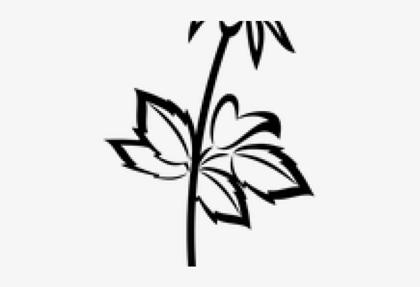 Flowers Vectors Png Transparent Images - Vector Graphics, transparent png #2503707