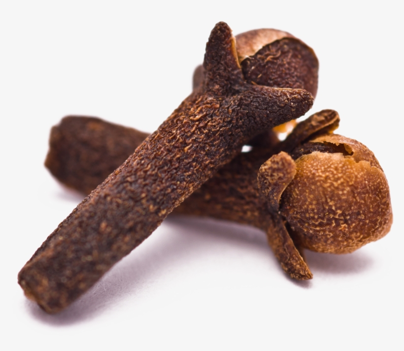 Clove Essential Oil - Clove Png, transparent png #2504041