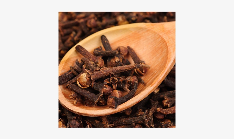 Clove - Del Clavo De Olor, transparent png #2504529