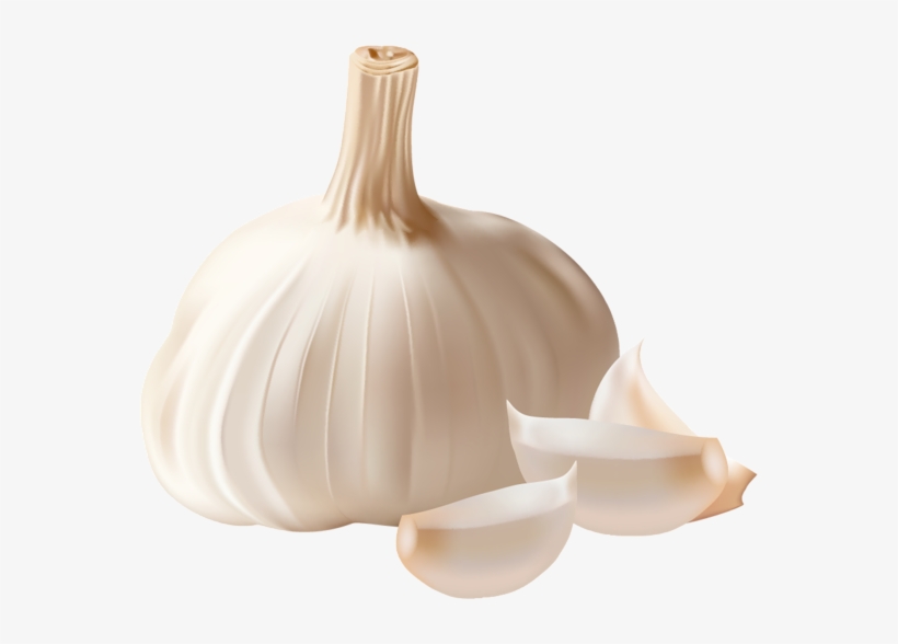 Garlic Clipart Garlic Clove - Garlic Png, transparent png #2505004