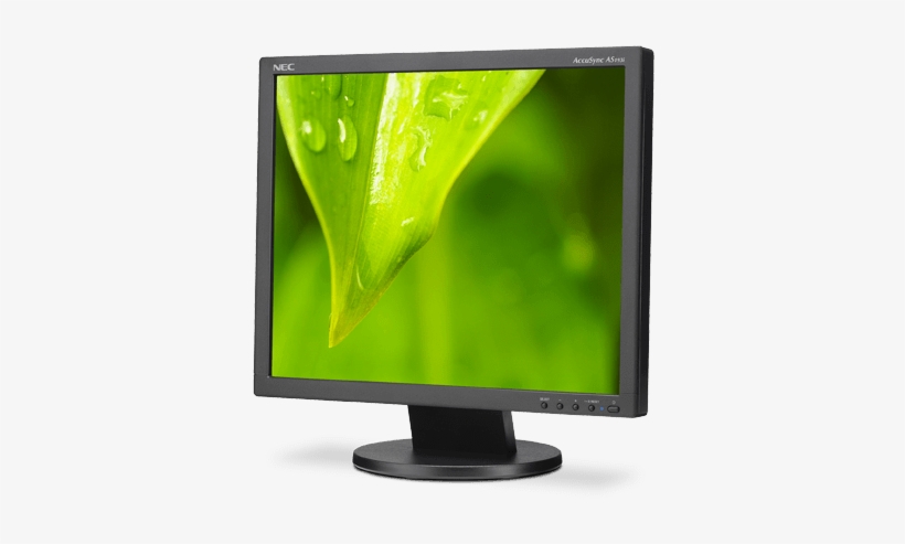 19” Value Led-backlit Desktop Monitor W/ Ips Panel - Nec Accusync As193i-bk - Led Monitor - 19 - 1280 X, transparent png #2505321