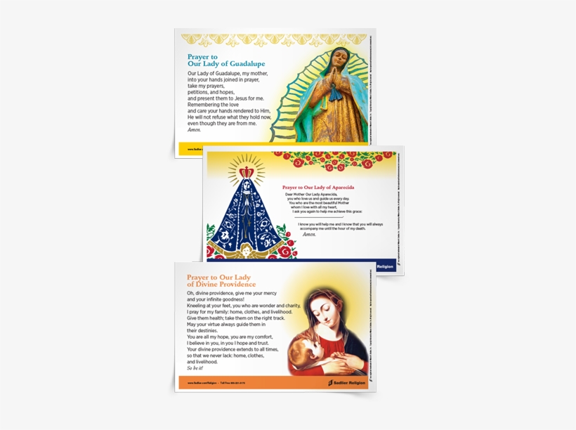 Marian Devotion - Our Lady Of Divine Providence Laminated Holy Card -, transparent png #2506005