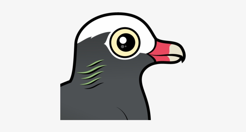 About The White-crowned Pigeon - Notepad++, transparent png #2506626