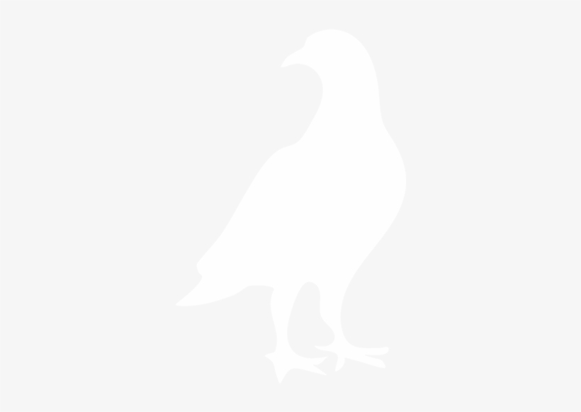 All Pests - Buzzard, transparent png #2506706